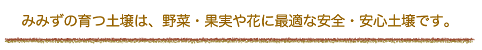 みみずの育つ土壌は、野菜・果実や花に最適な安全・安心土壌です